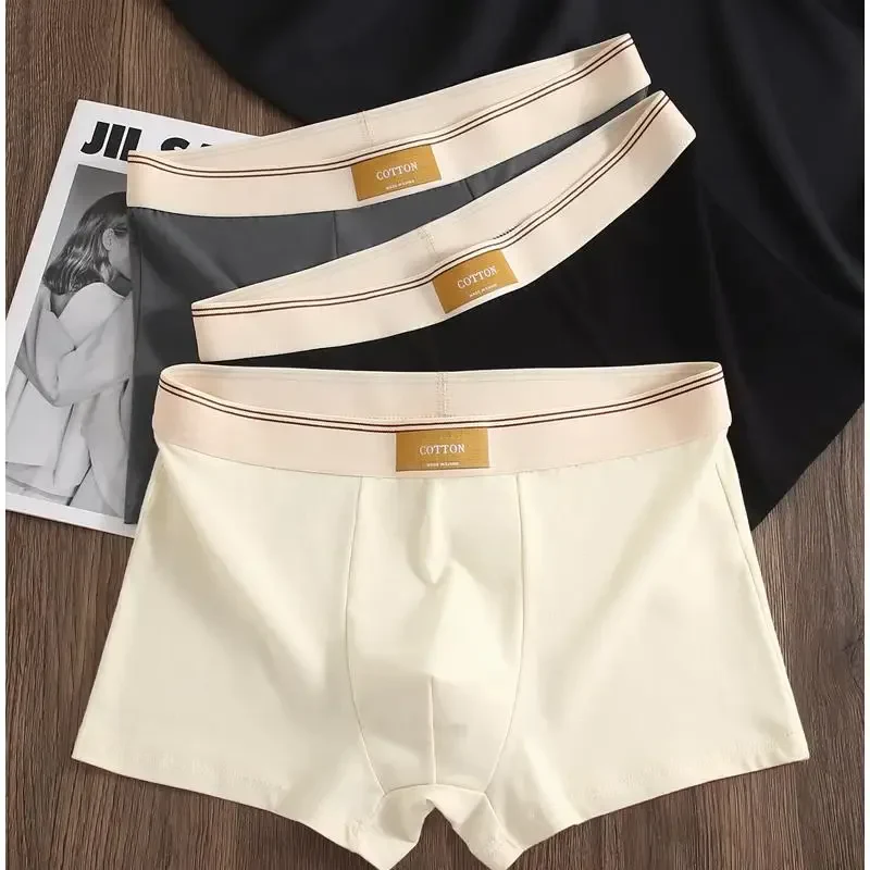 Cotton Theory Boxer Brief Set - Image 2