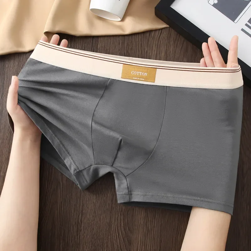 Cotton Theory Boxer Brief Set - Image 3